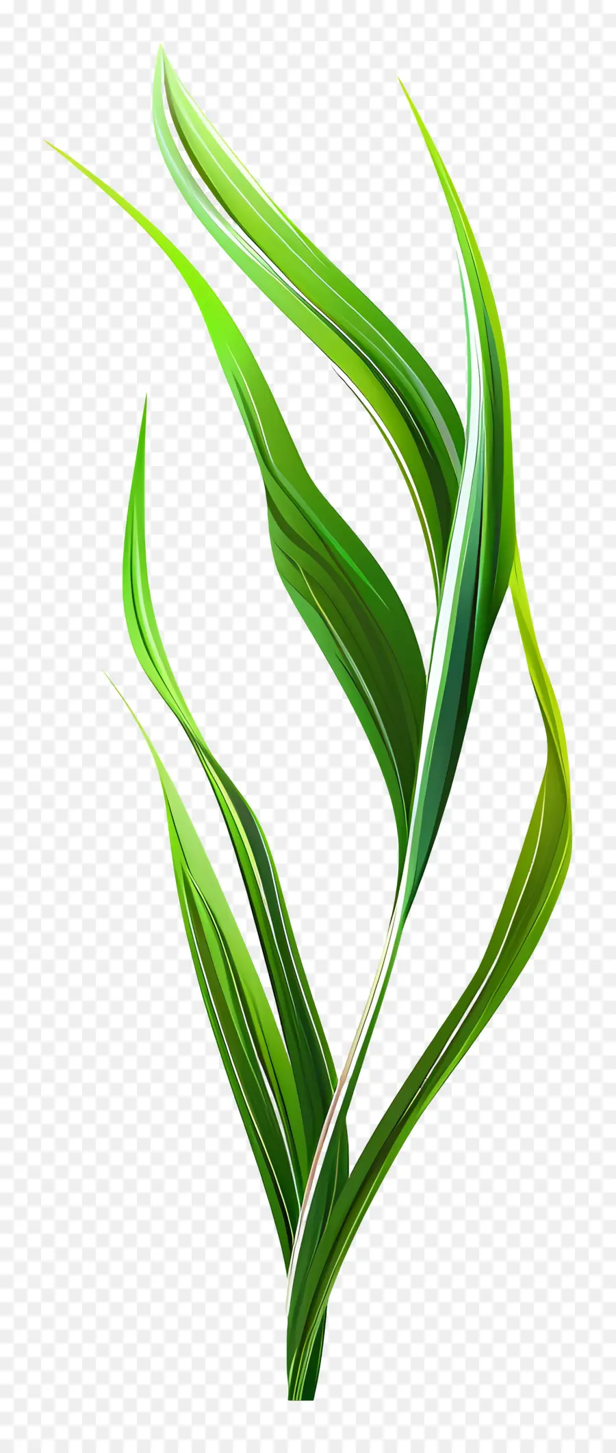 Brin D'herbe，Feuilles Vertes PNG