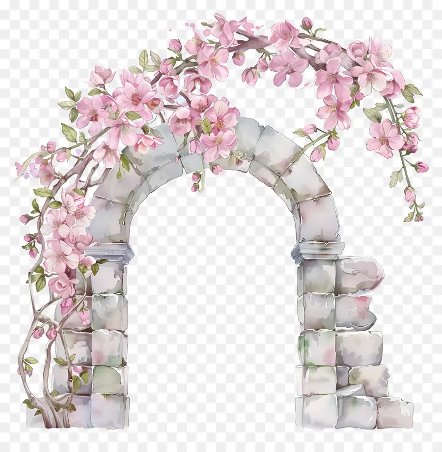 Arche De Fleur Rose，Fleur Arc PNG