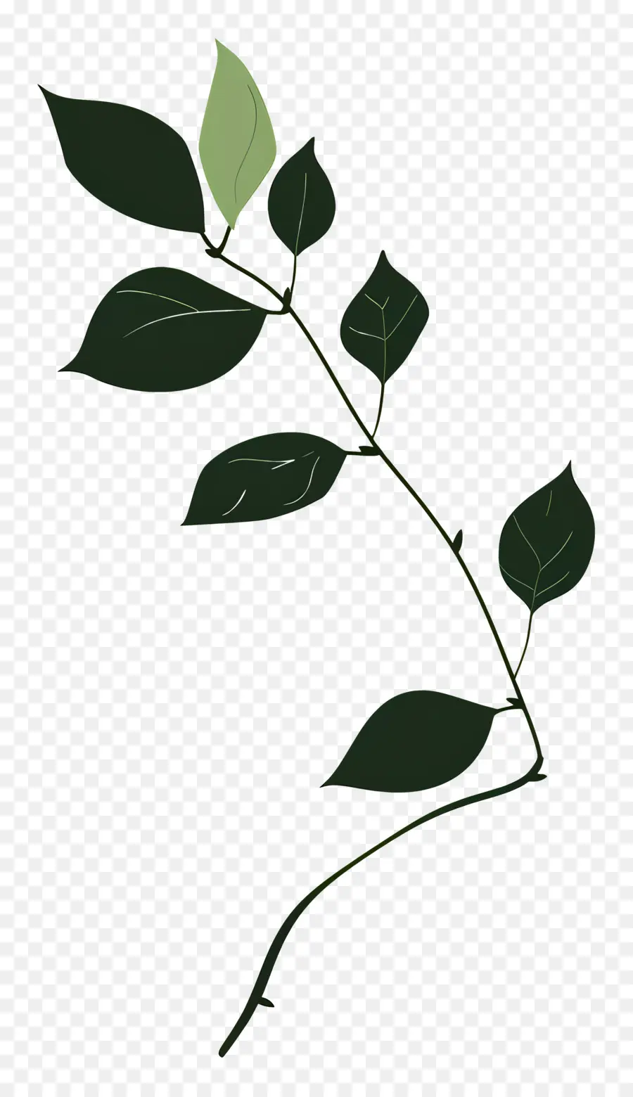 Branche Feuillue，Bifurquer PNG