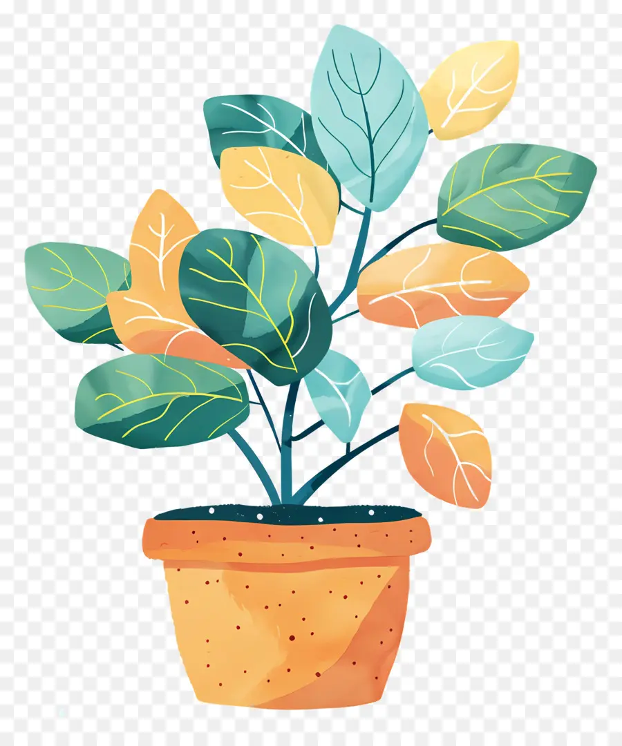 Pot De Plante Intérieure，Plante En Pot PNG