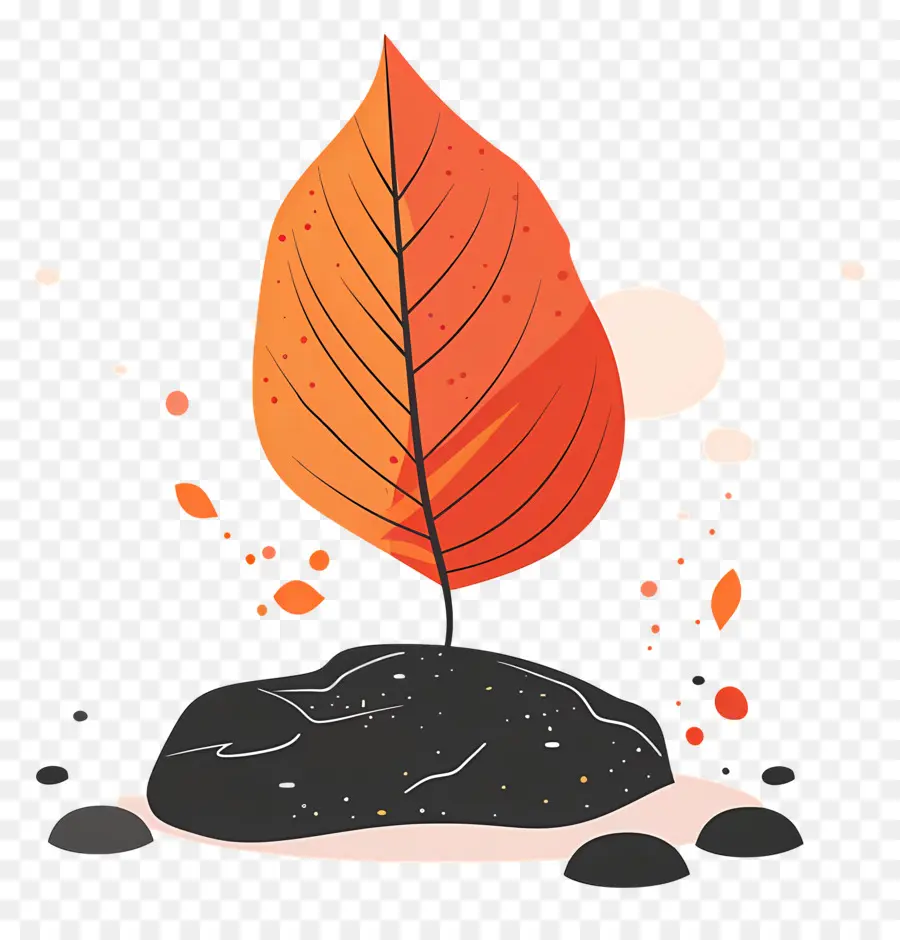 Feuille D'automne Sur Le Sol，Germe De Plante PNG