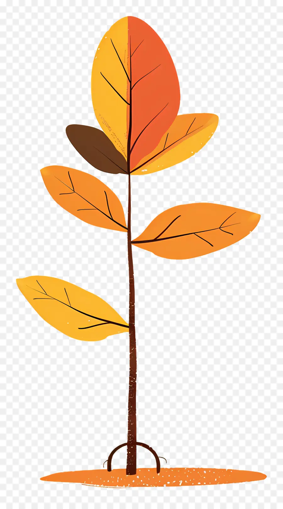 Feuille D'automne Sur L'arbre，Plante Colorée PNG