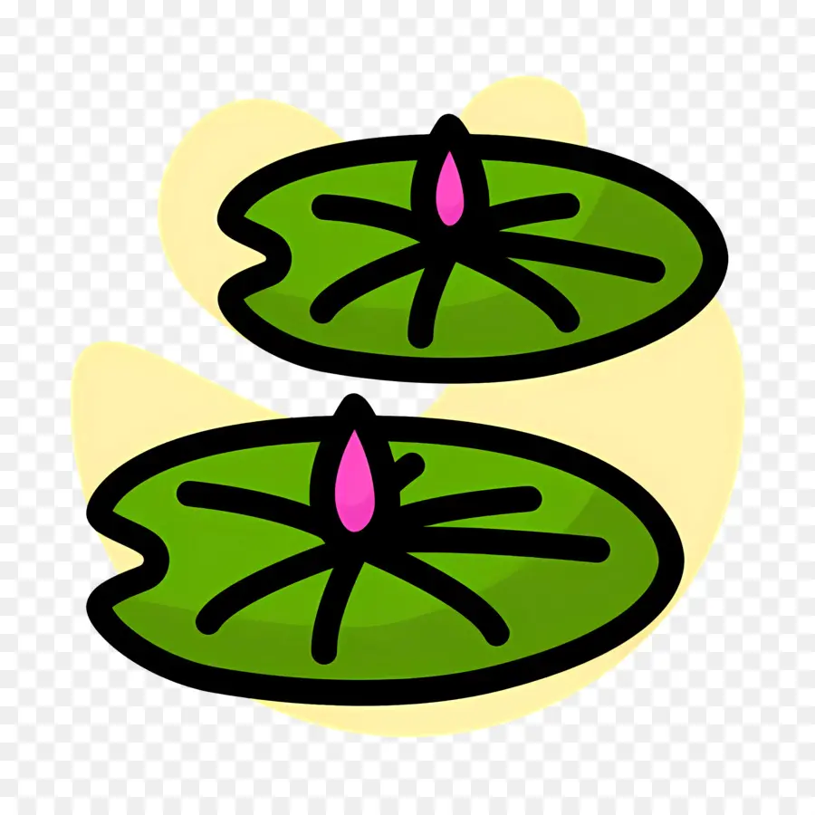 Feuille De Lotus，Nénuphars PNG