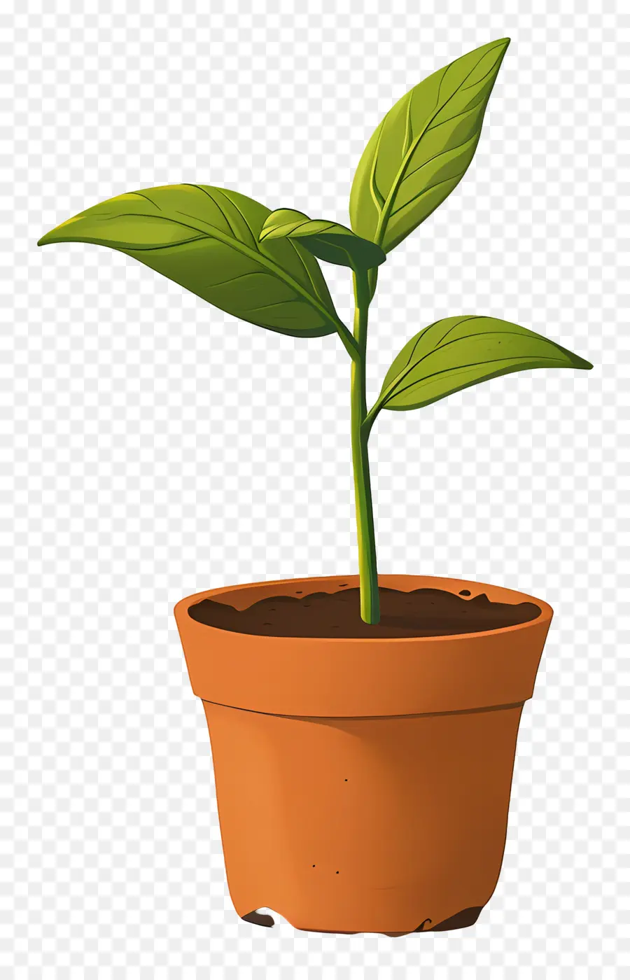 Plante à Germes Verts，Plante Verte PNG