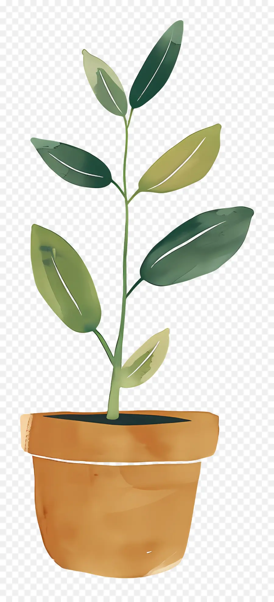 Plante à Germes Verts，Plante En Pot PNG