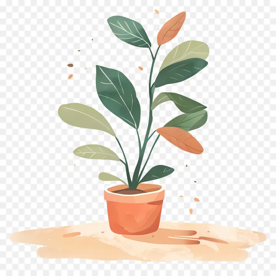 Pot De Plante D'intérieur，Plante En Pot PNG