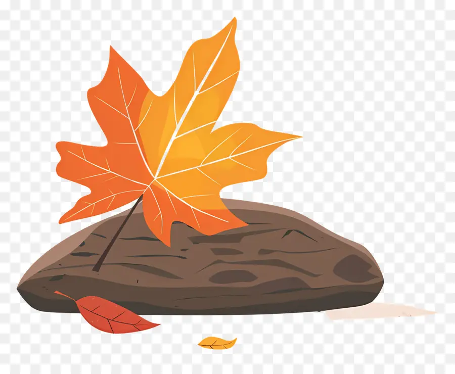 Feuille D'automne Sur Roche，Feuille Et Roche PNG