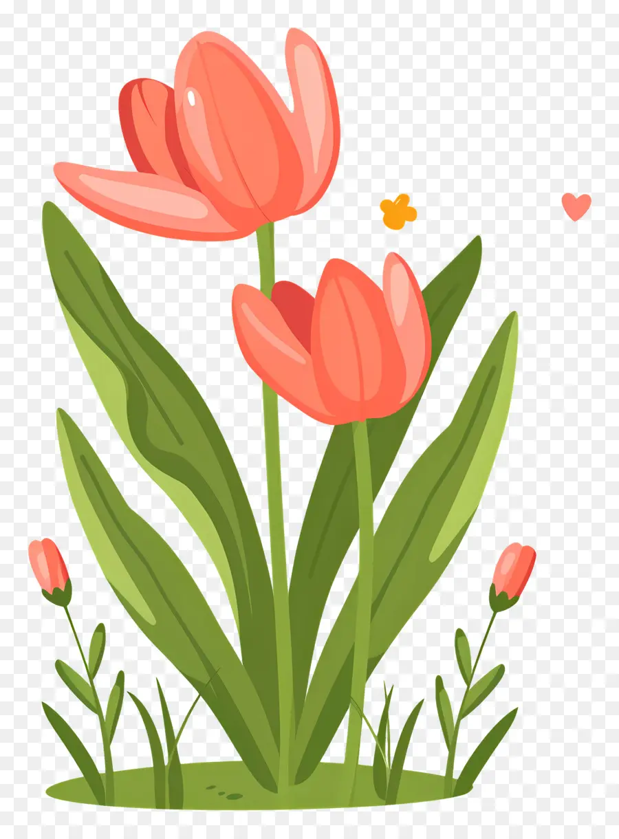 Fleur De Tulipe，Tulipes Rouges Et Violettes PNG