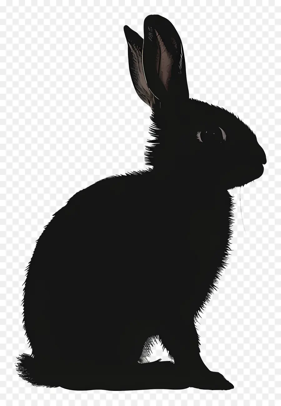 Lapin Silhouette，Lapin PNG