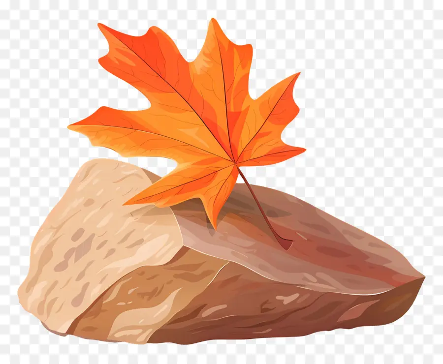 Feuille D'automne Sur Roche，Feuille PNG