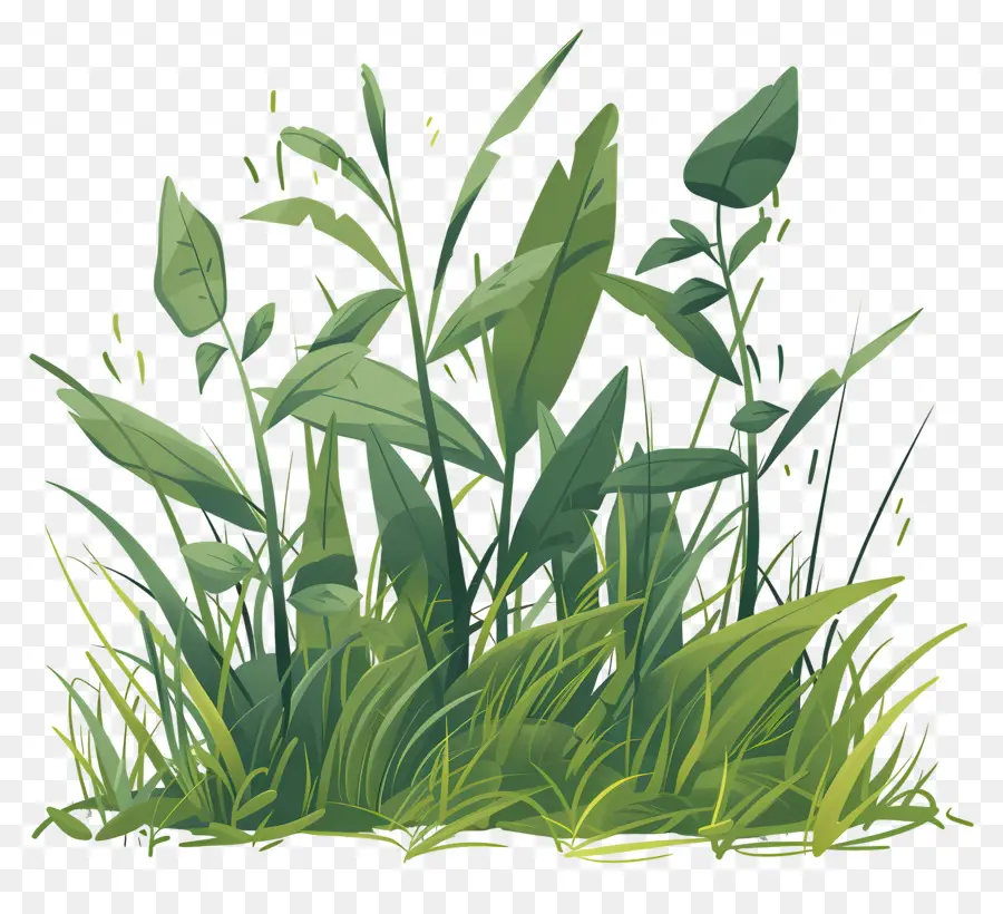 Brin D'herbe，Herbe PNG