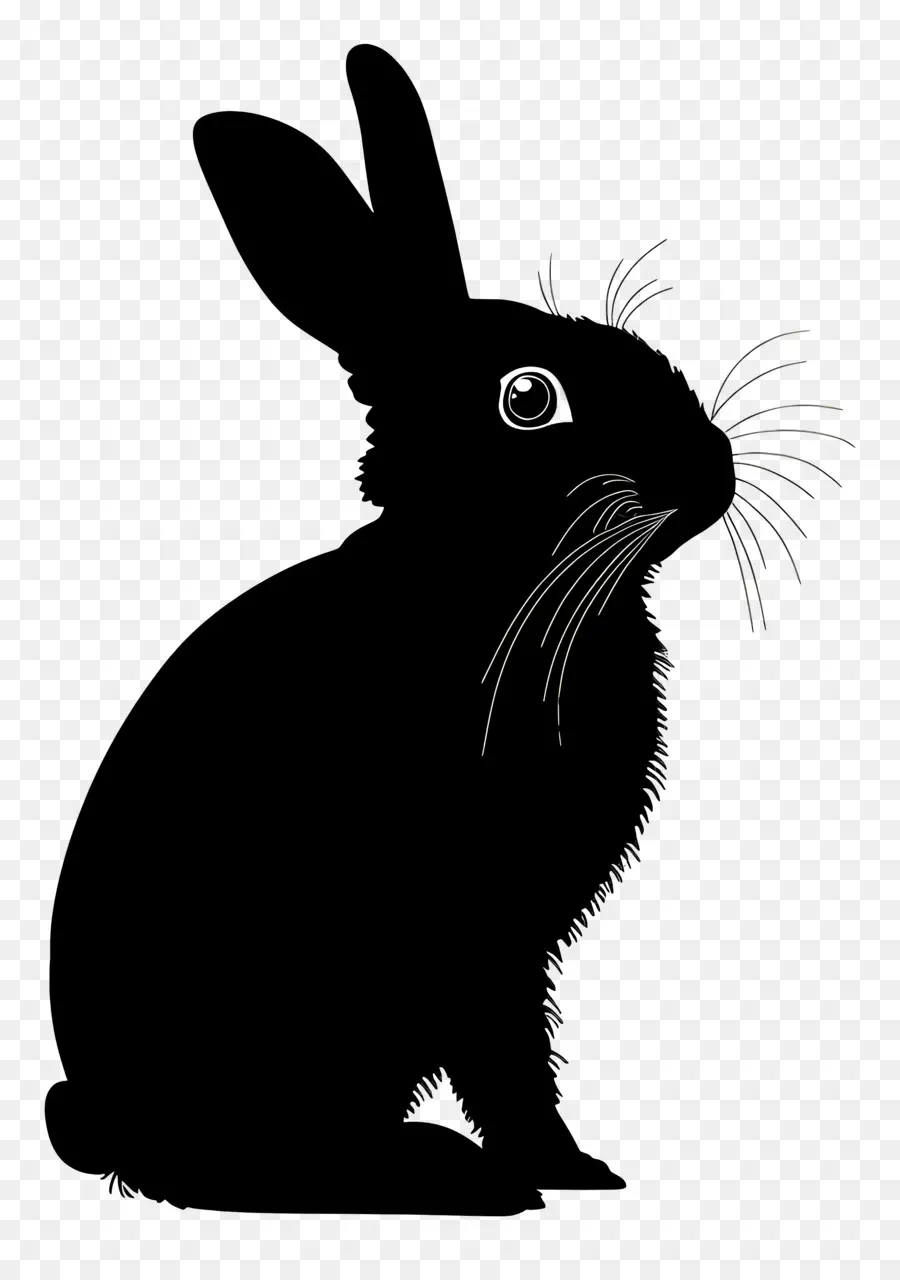 Silhouette De Lapin，Lapin PNG