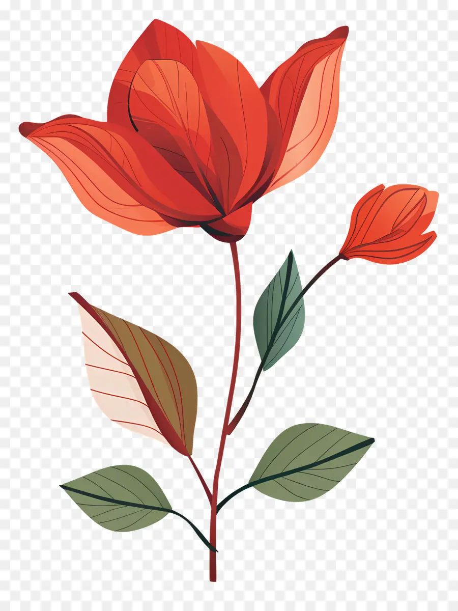 Fleur Rouge，Feuilles PNG