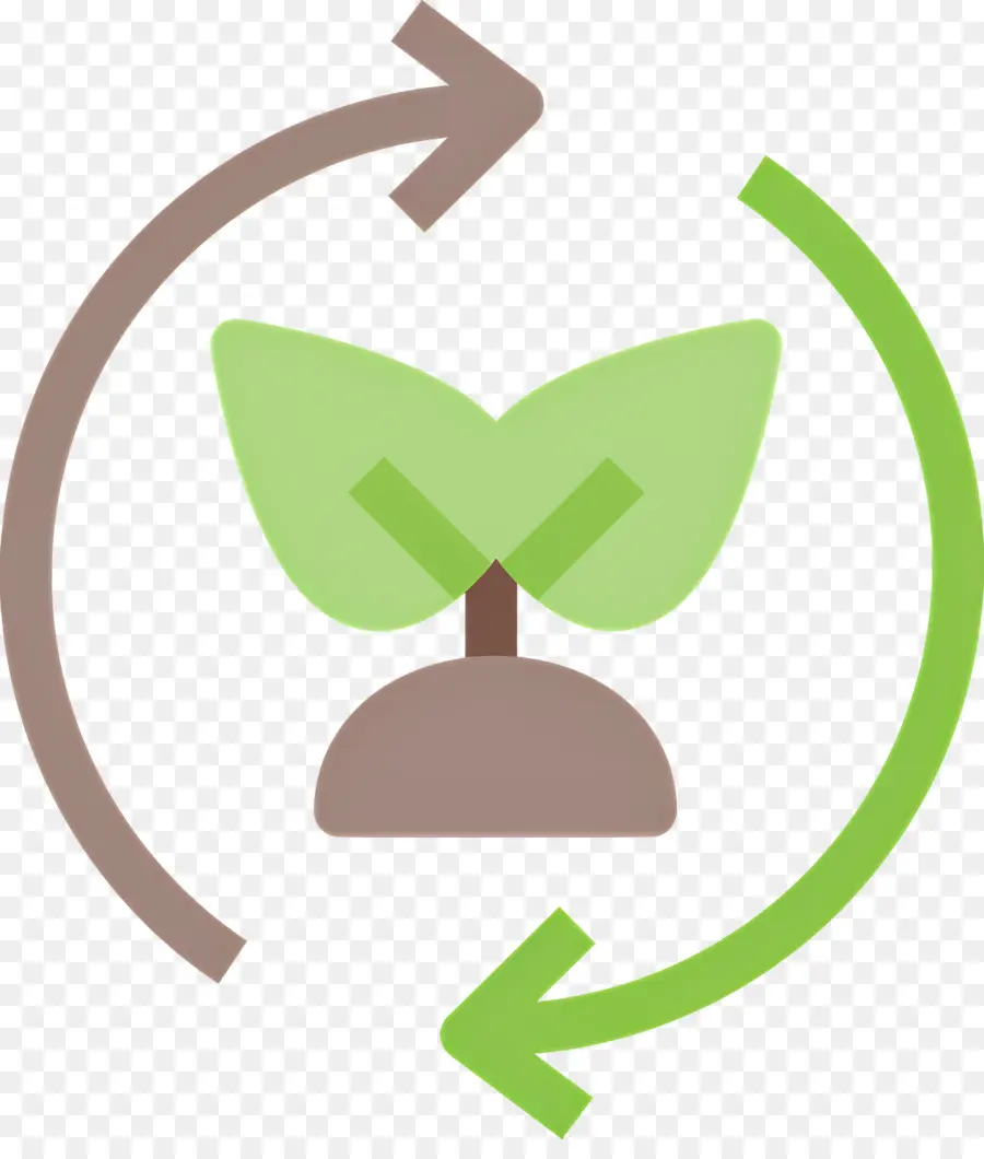 Recycler Les Feuilles，Plante Verte PNG