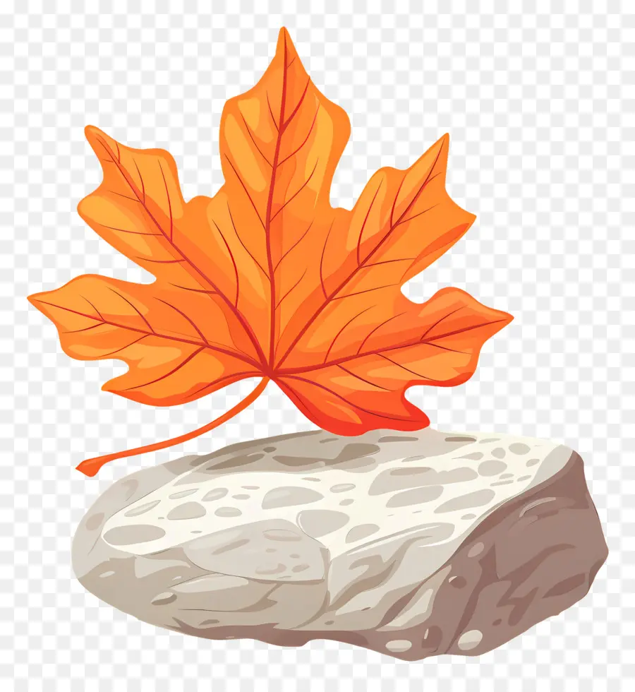 Feuille D'automne Sur Le Rocher，Feuille Orange Sur Rocher PNG