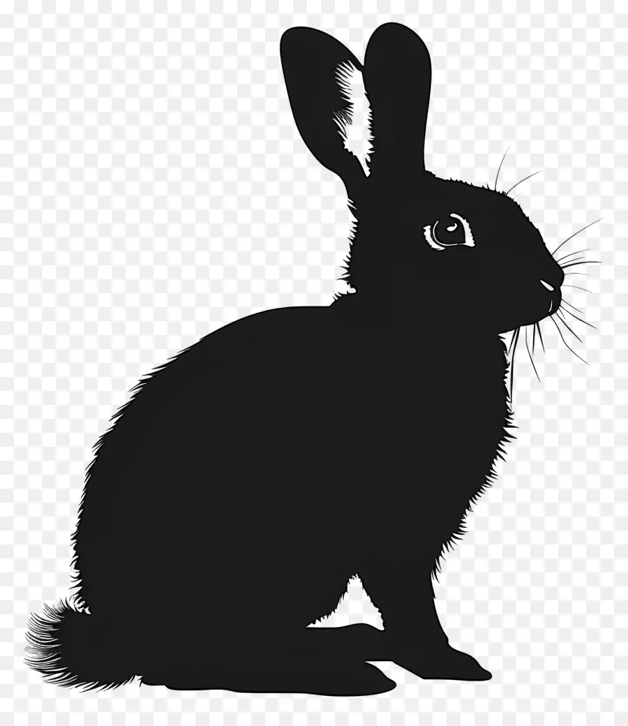 Silhouette De Lapin，Lapin PNG