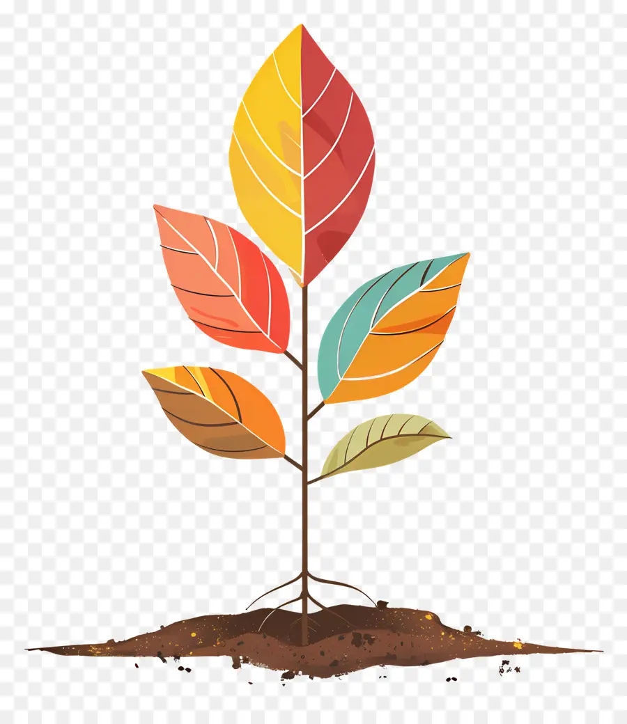 Feuille D'automne Sur Le Sol，Plante PNG