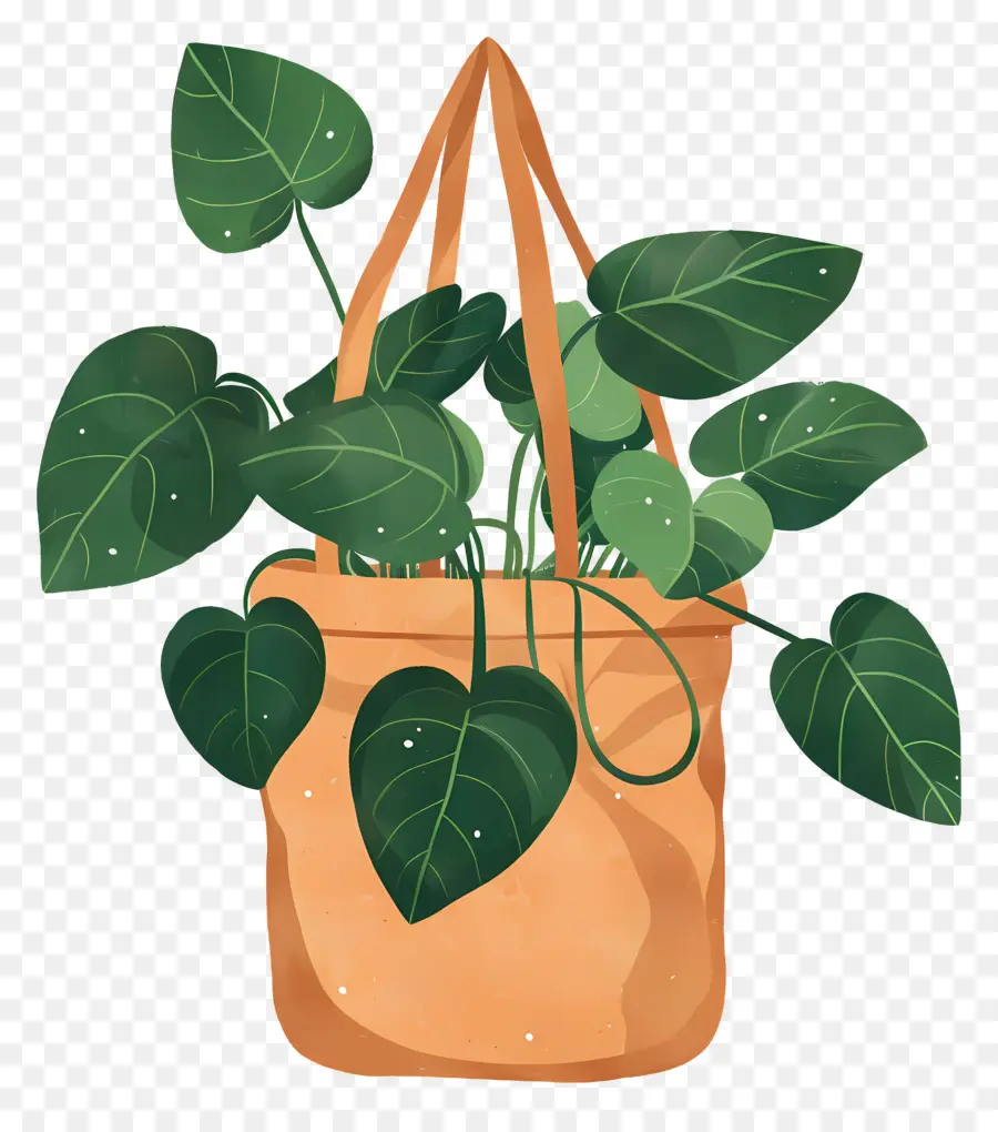 Sac à Plantes，Plante En Sac PNG