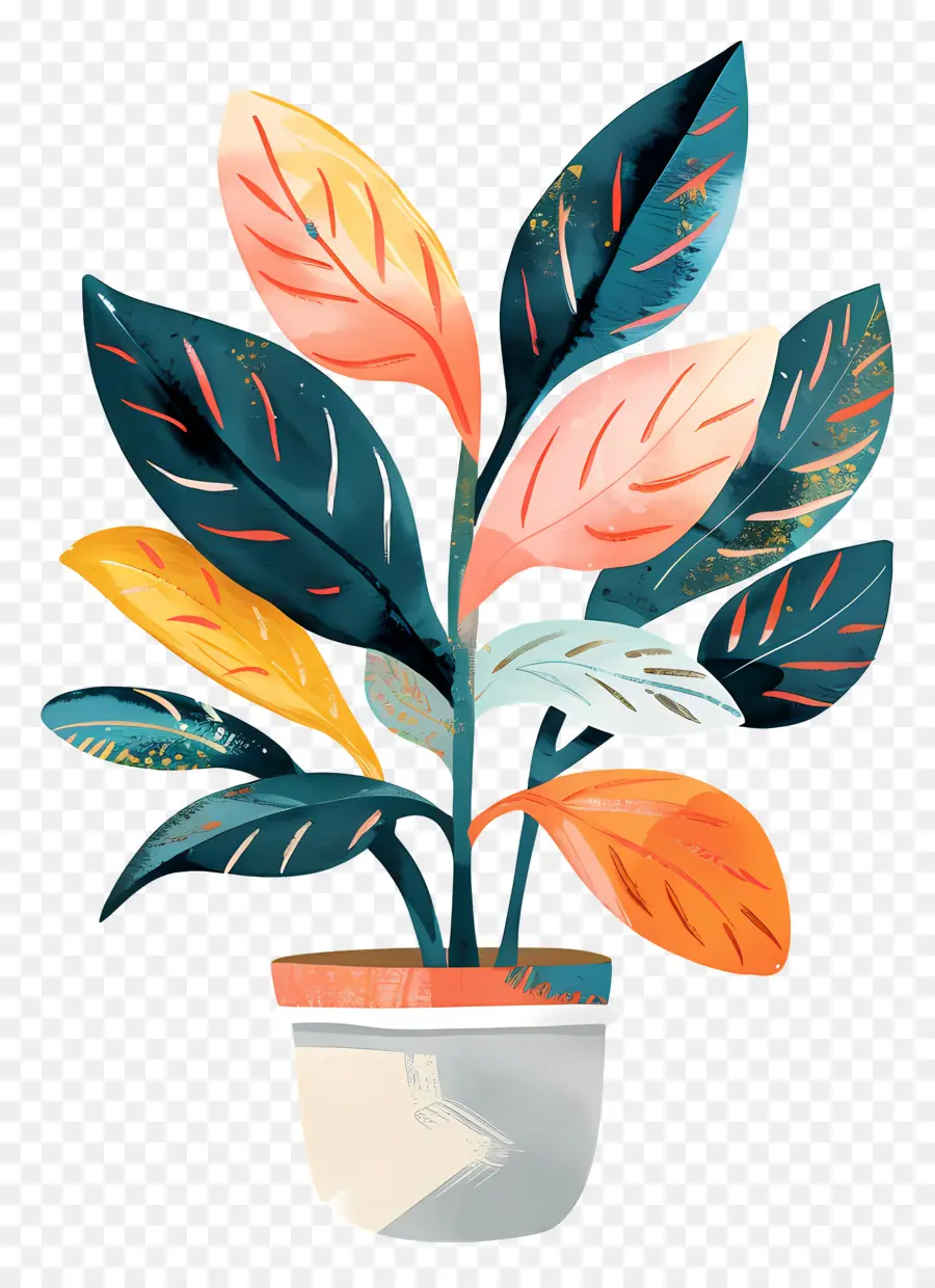 Pot De Plante Intérieure，Plante En Pot PNG