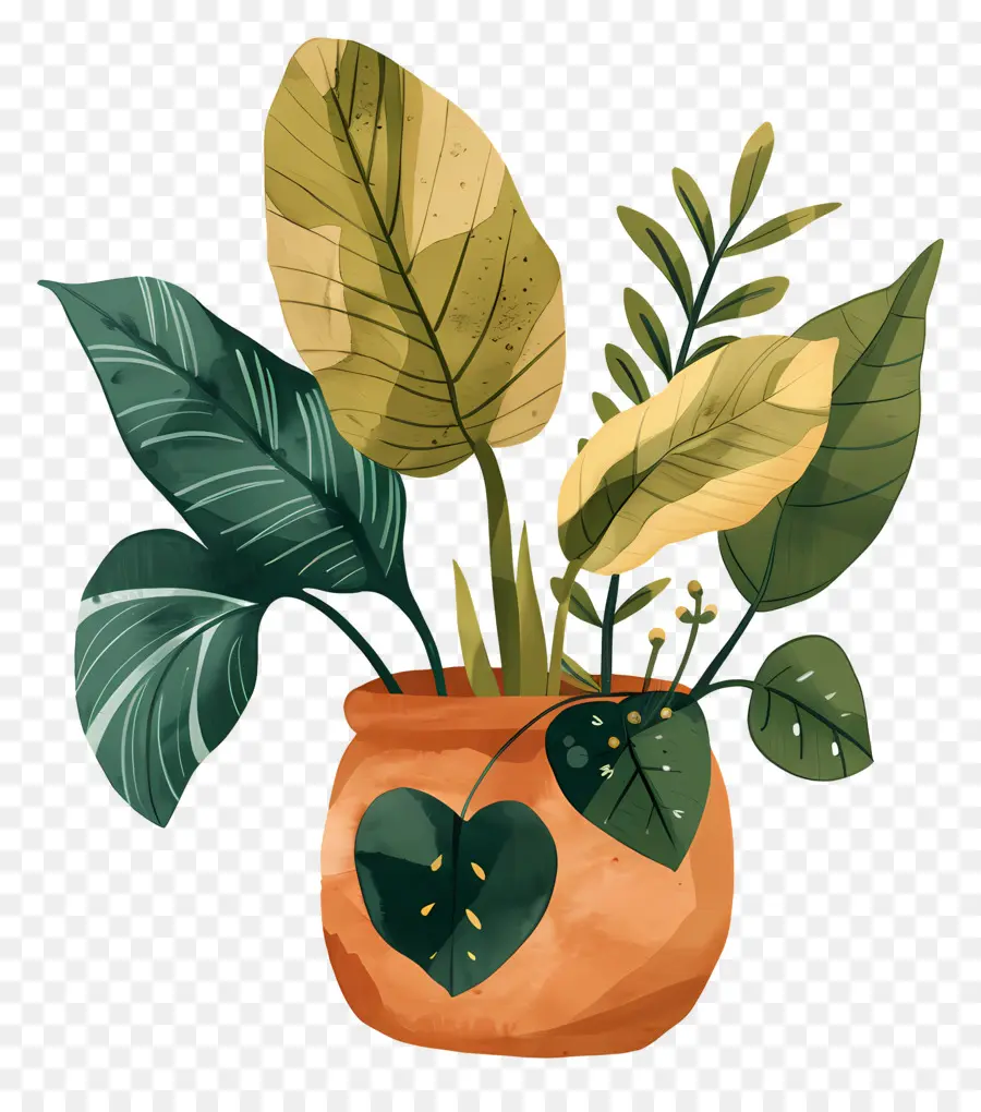 Sac à Plantes，Plante En Pot PNG