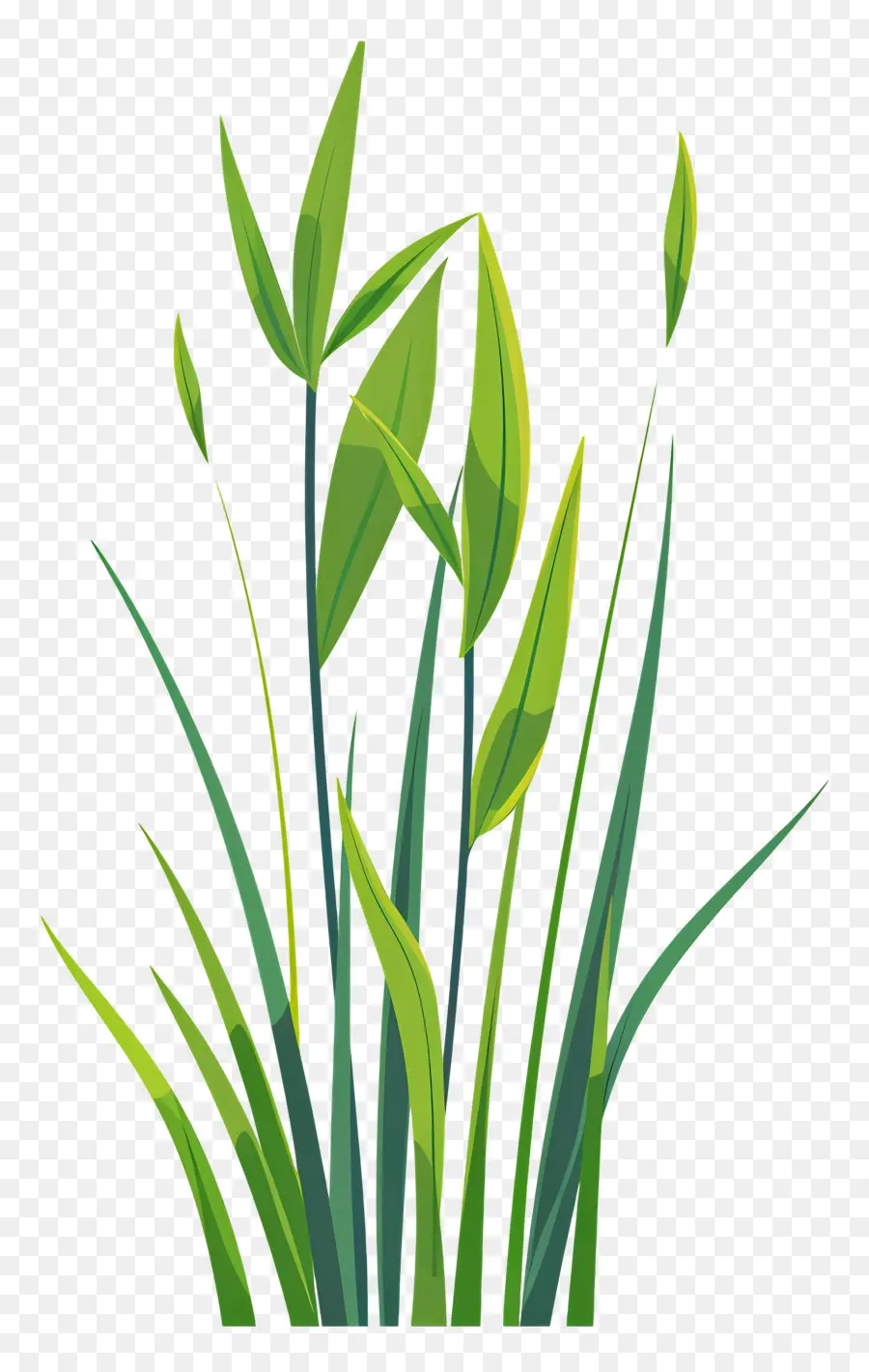 Brin D'herbe，Herbe PNG