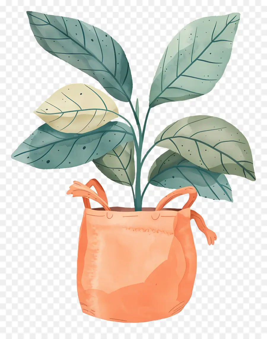 Sac De Plante，Plante En Pot PNG