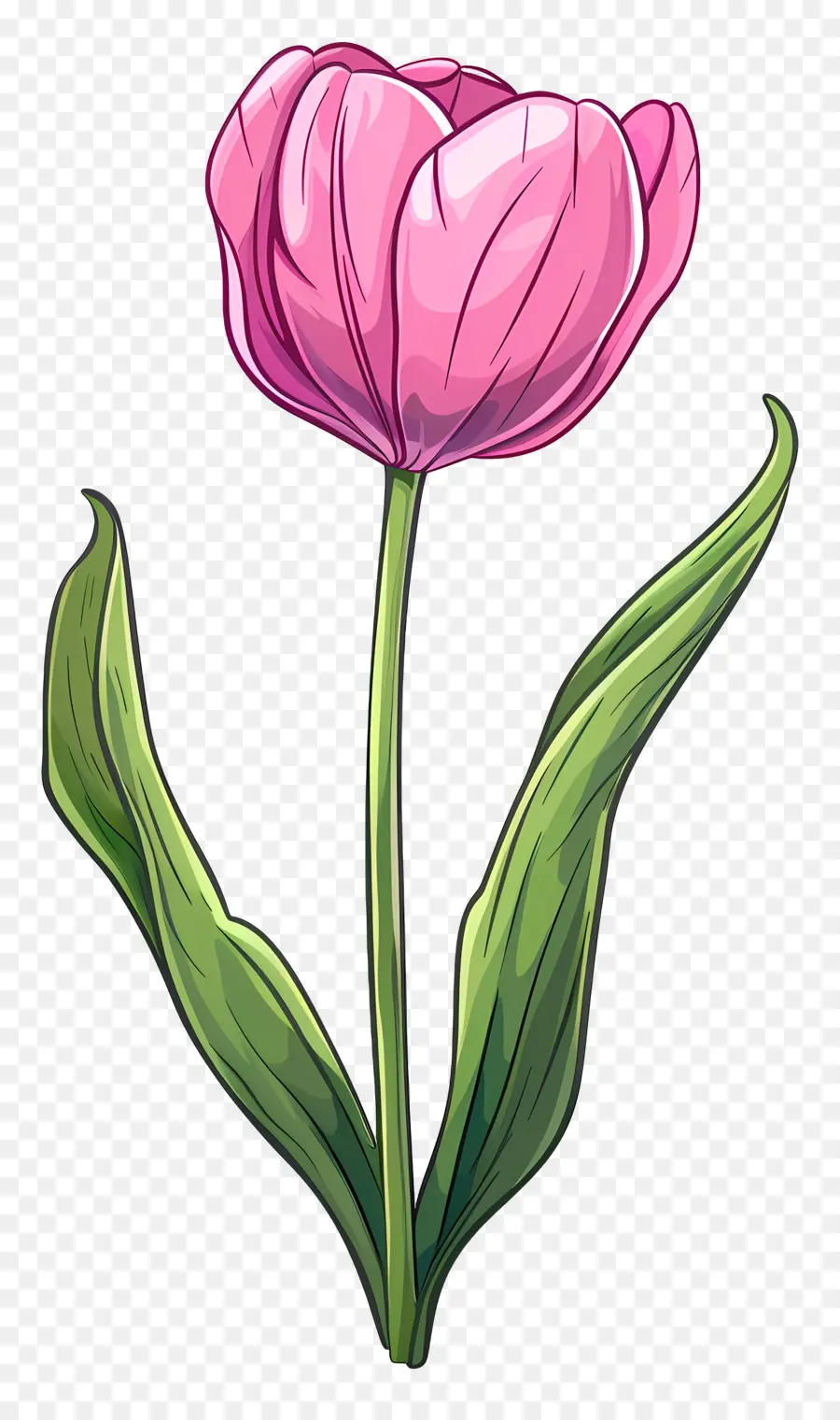 Fleur De Tulipe，Tulipe Bleue PNG