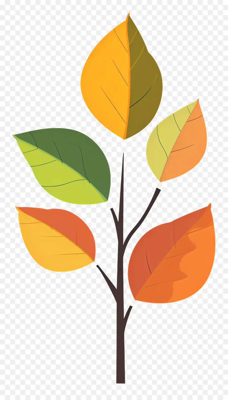 Feuille D'automne Sur L'arbre，Arbre Coloré PNG