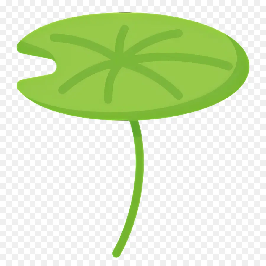 Feuille De Lotus，Nénuphar PNG