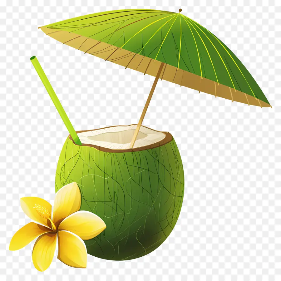 Boisson à La Noix De Coco，Parapluie PNG