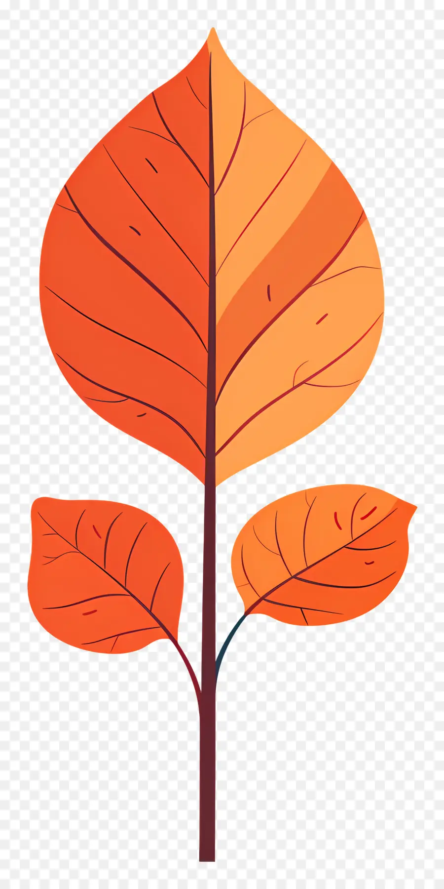 Feuille D'automne Sur L'arbre，Arbre D'automne PNG