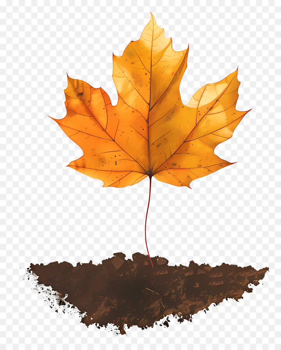 Feuille D'automne Sur Le Sol，Feuille PNG