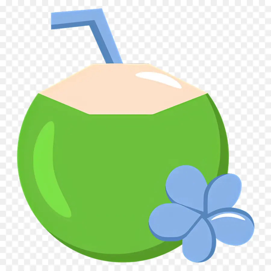 Boire La Noix De Coco，La Paille PNG