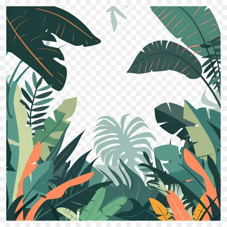 Jungle，Toucan PNG