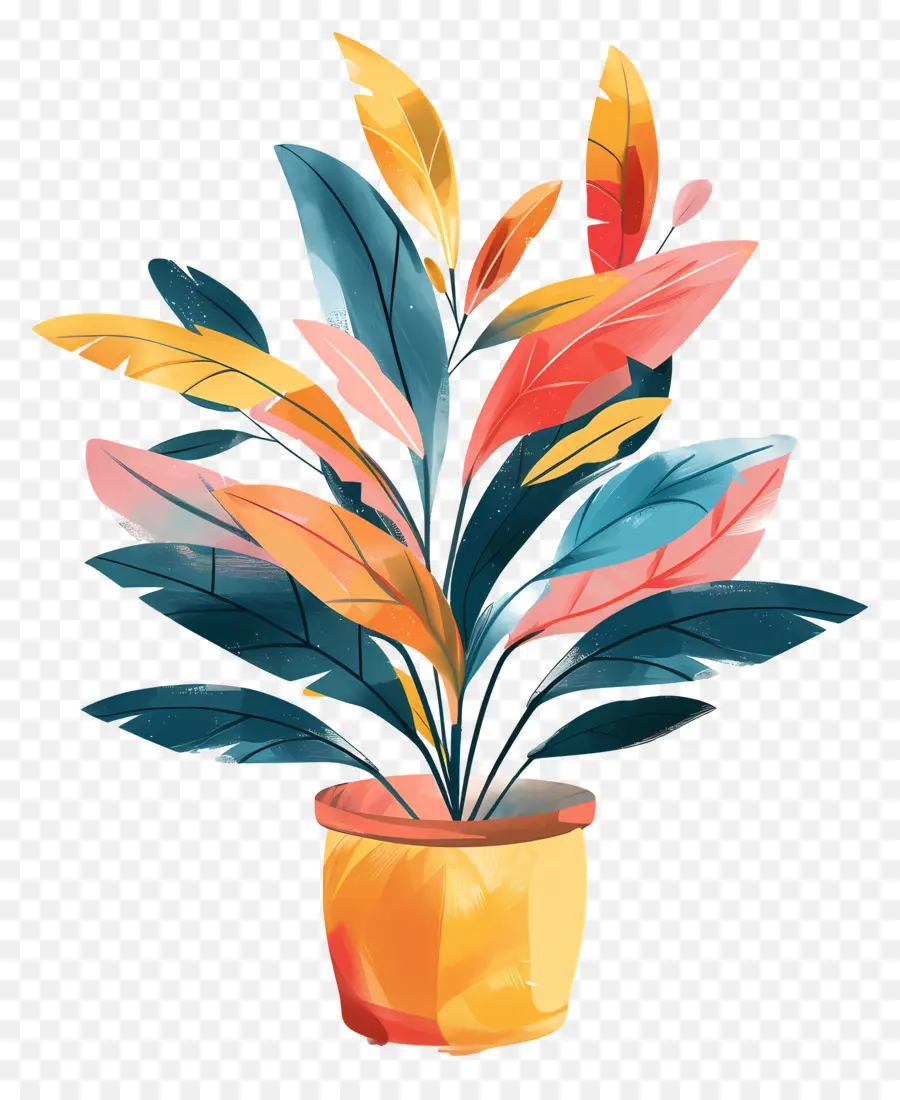 Pot De Plante D'intérieur，Plante Colorée PNG