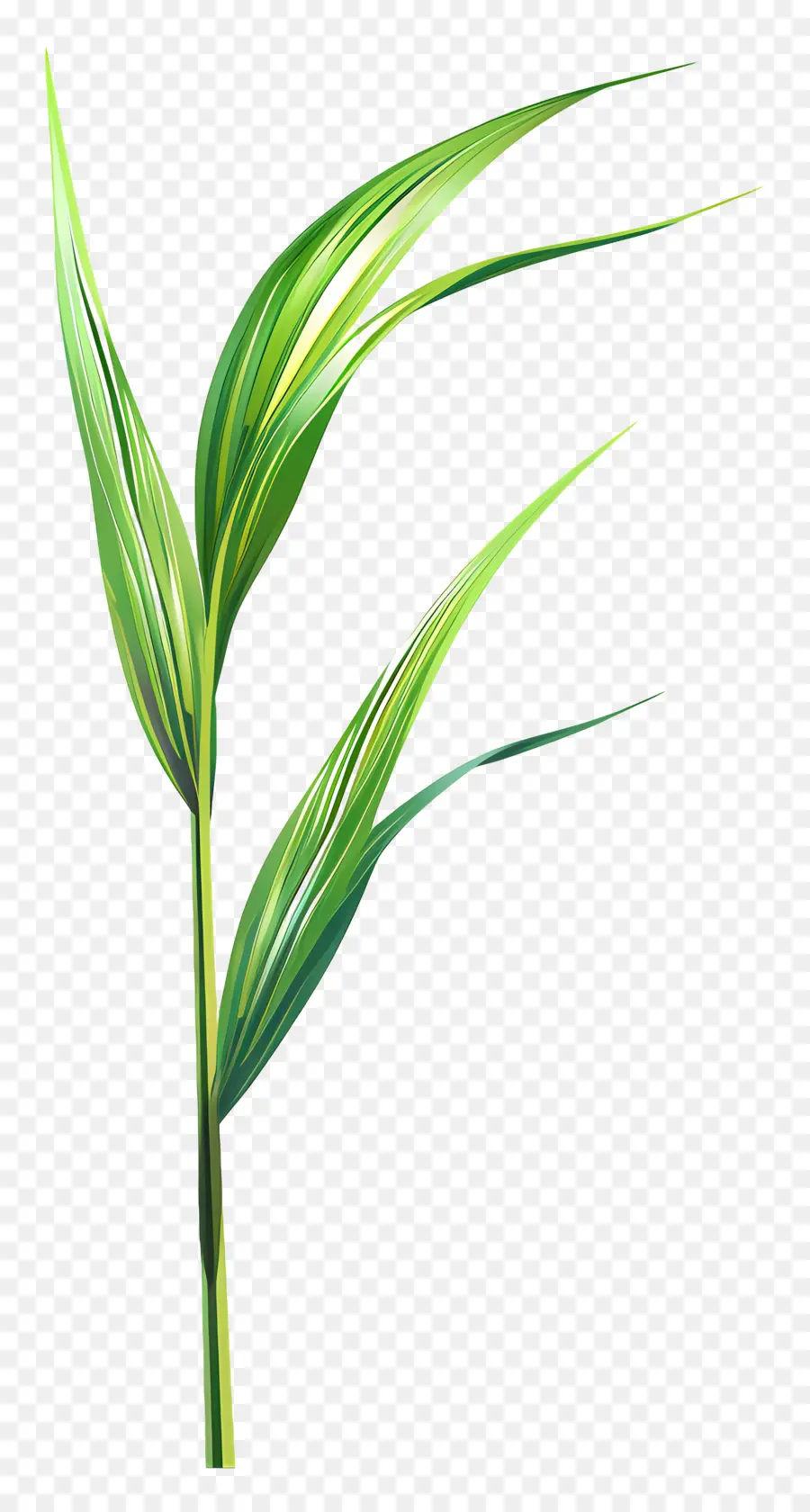 Brin D'herbe，Usine PNG