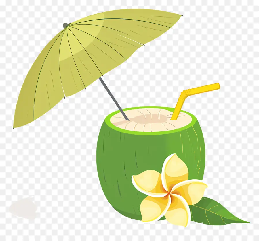 Boisson à La Noix De Coco，Parapluie PNG