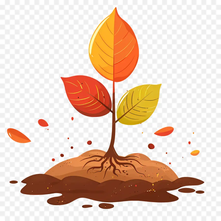 Feuille D'automne Sur Le Sol，Usine PNG