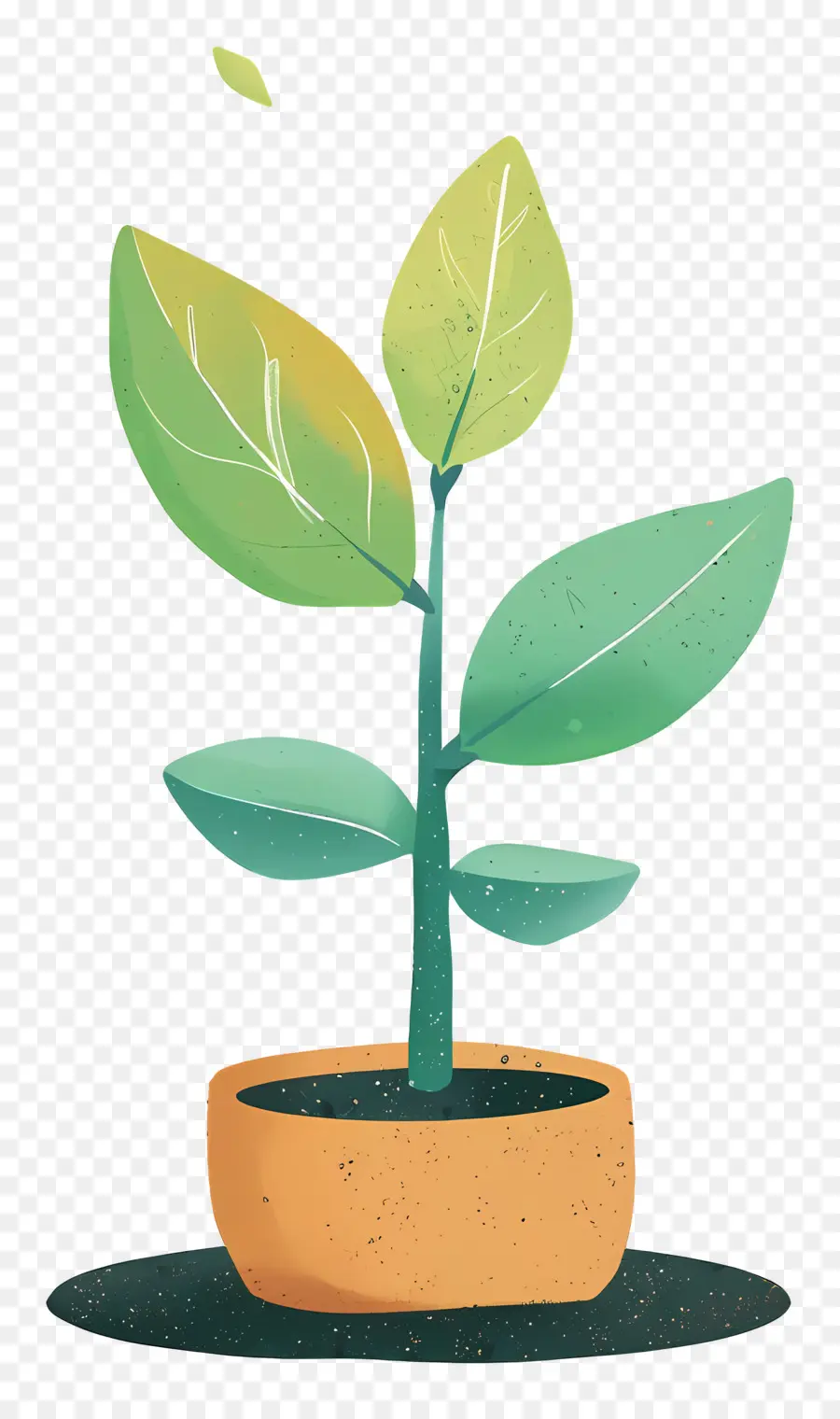 Plante à Germes Verts，Plante En Pot PNG