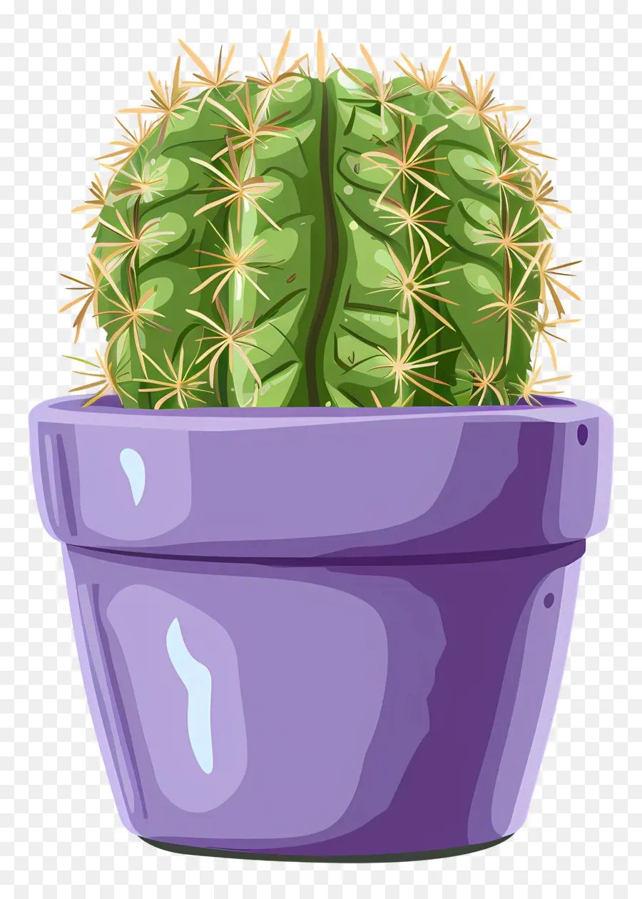 Cactus，Vert Cactus PNG