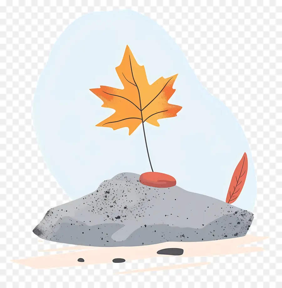 Feuille D'automne Sur Le Rocher，Feuille Et Roche PNG