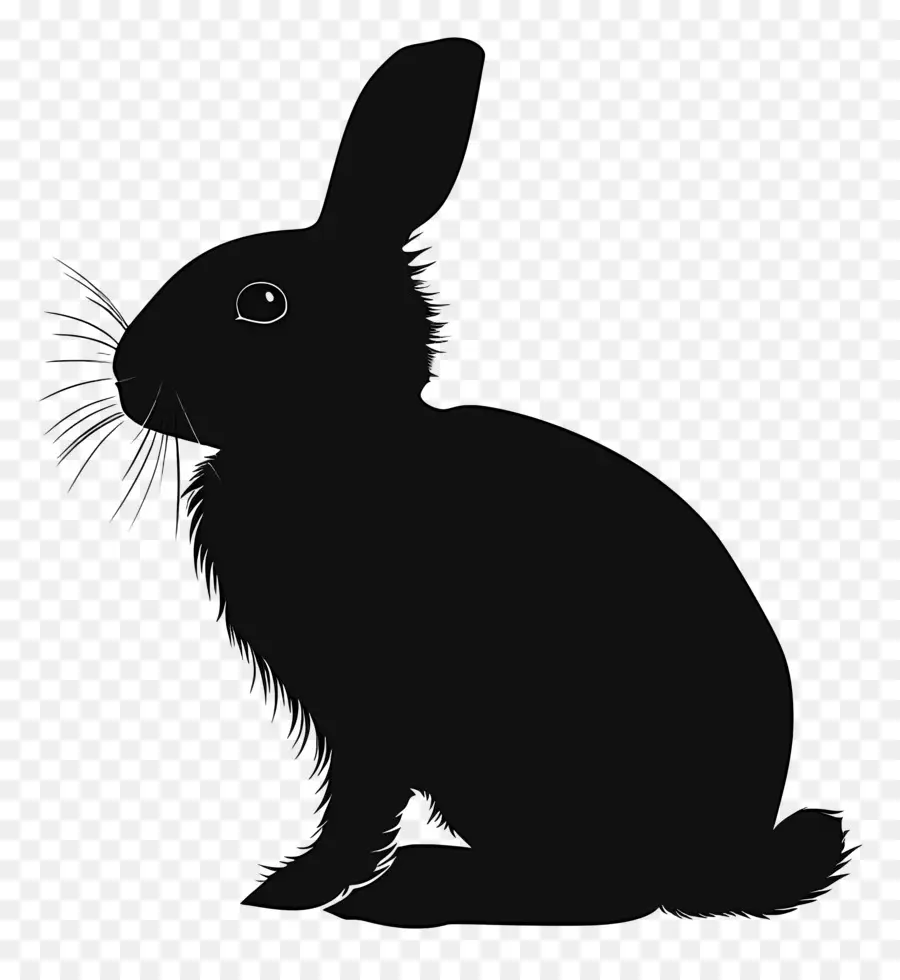 Silhouette De Lapin，Lapin PNG