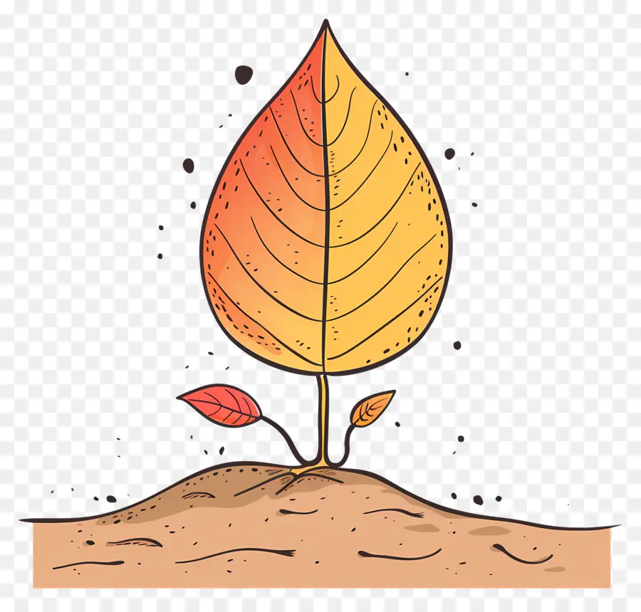 Feuille D'automne Sur Le Sol，Feuille PNG