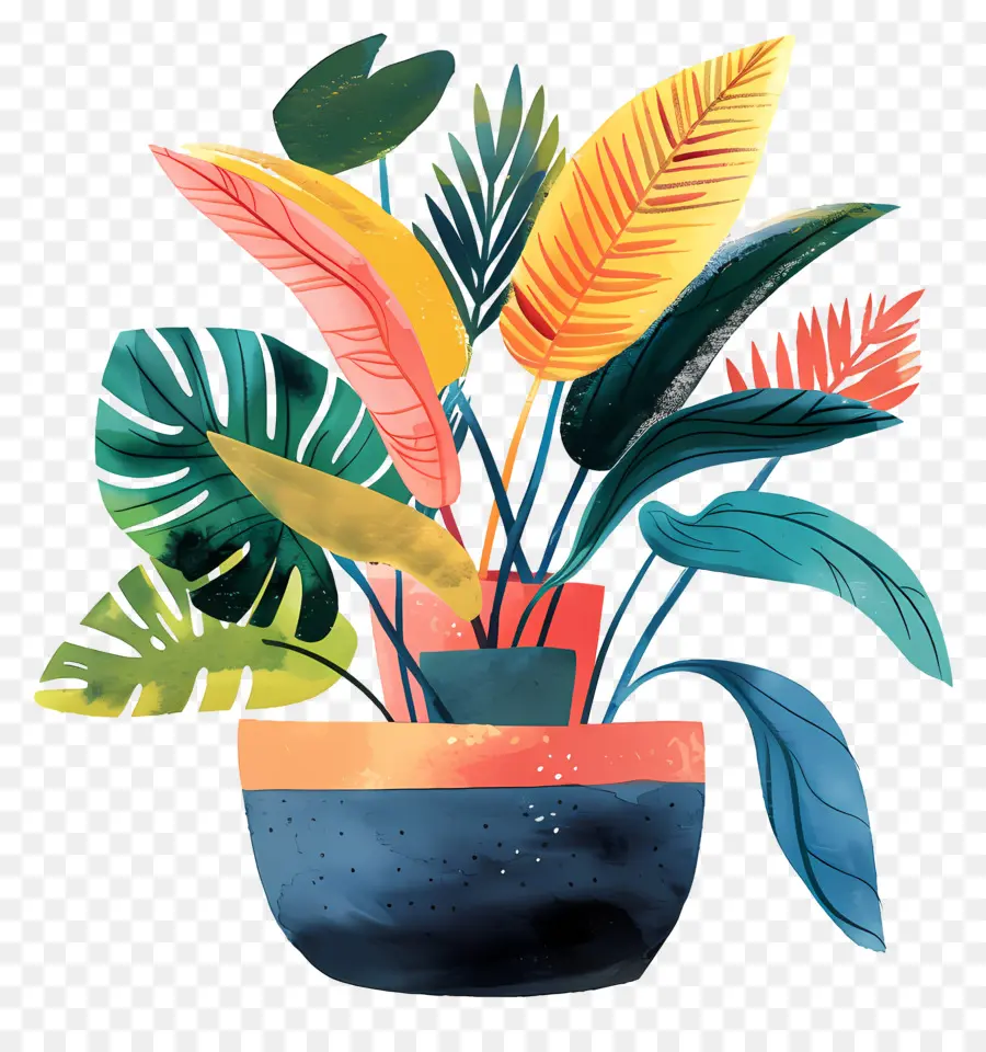 Pot De Plante D'intérieur，Plante En Pot PNG