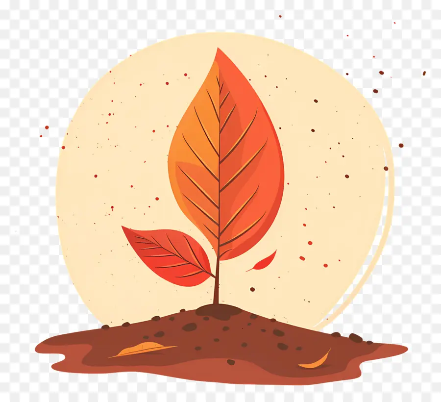 Feuille D'automne Sur Le Sol，Germe De Plante PNG