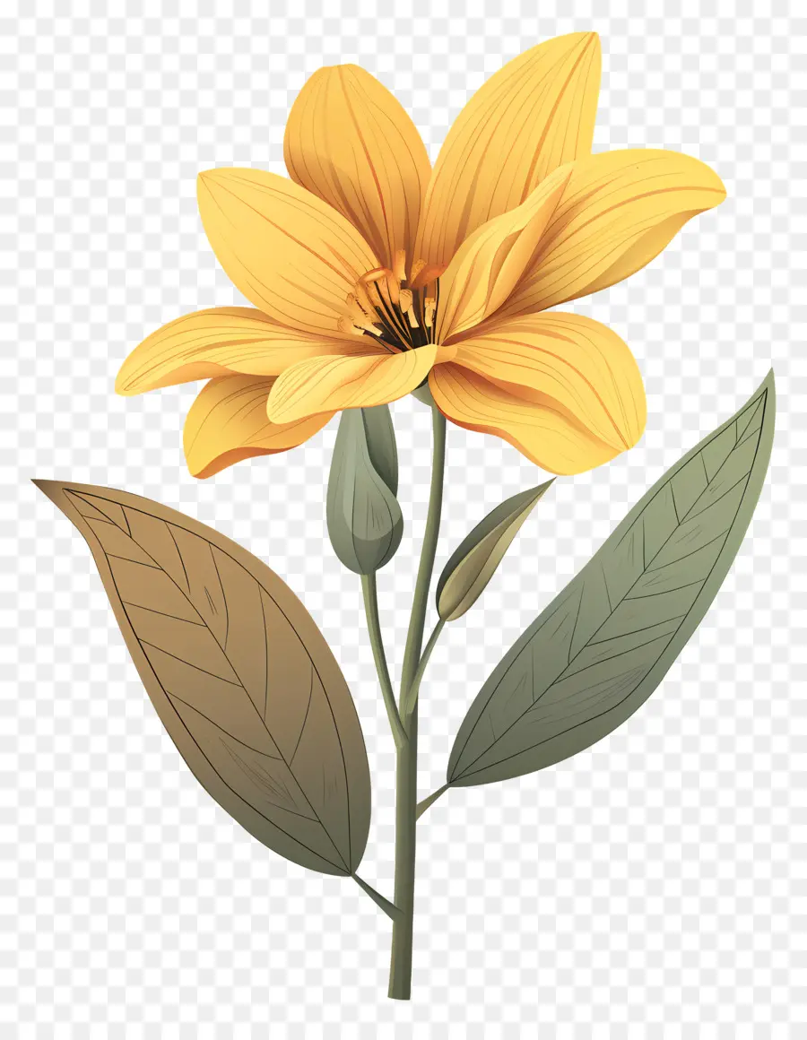 Fleur Jaune，Fleur PNG