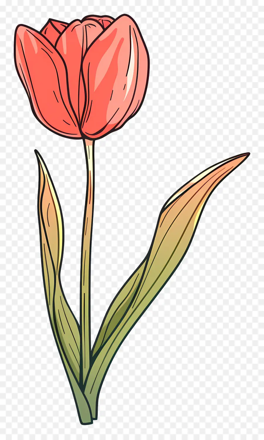 Fleur De Tulipe，Fleur Rose PNG