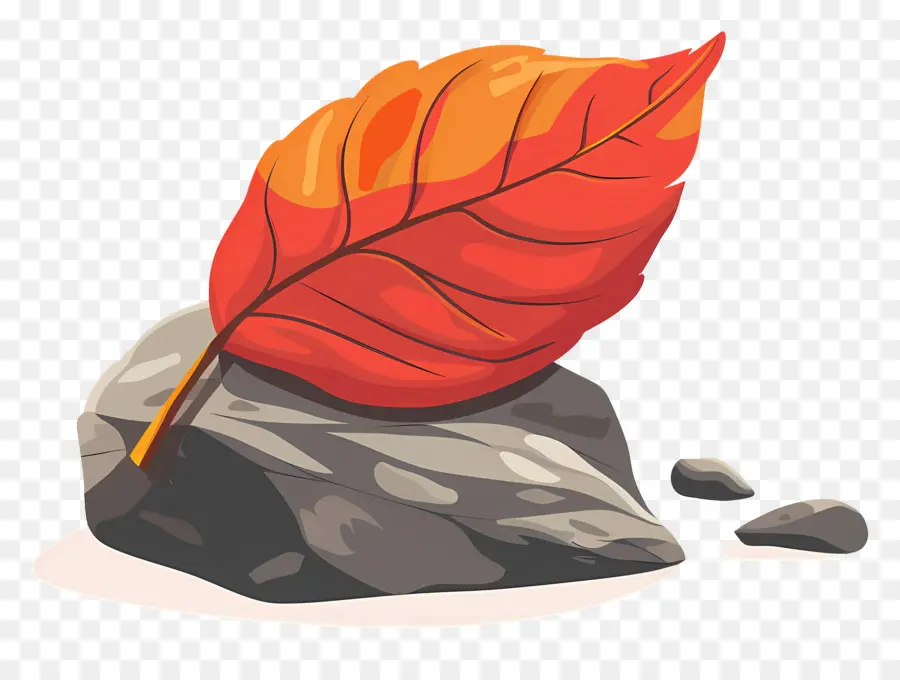 Feuille D'automne Sur Le Rocher，Feuille Sur Rocher PNG