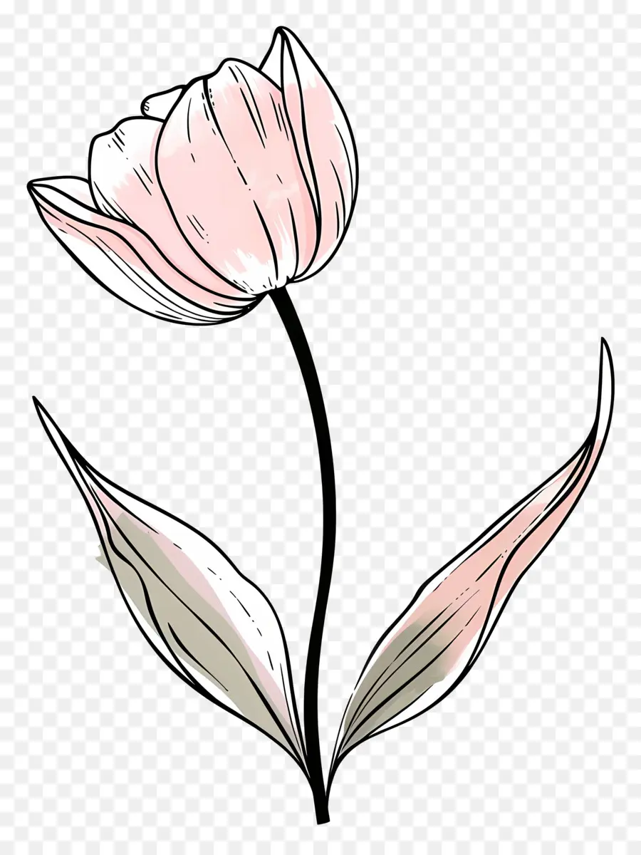 Fleur De Tulipe，Fleur Rose PNG