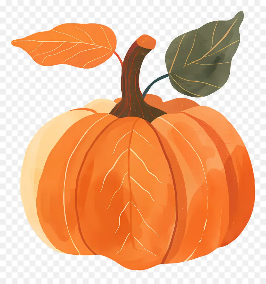 Citrouille Avec Des Feuilles，Citrouille PNG